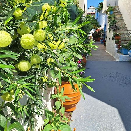 Βig Βlue Apartments Makrýgialos 外观 照片