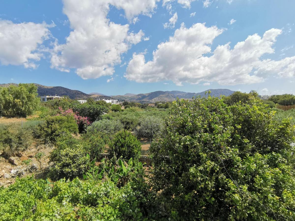 Βig Βlue Apartments Makrýgialos 外观 照片