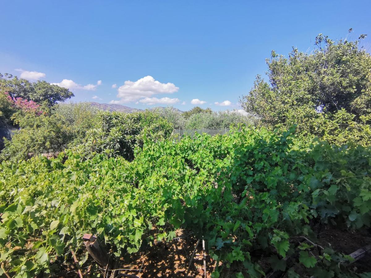 Βig Βlue Apartments Makrýgialos 外观 照片