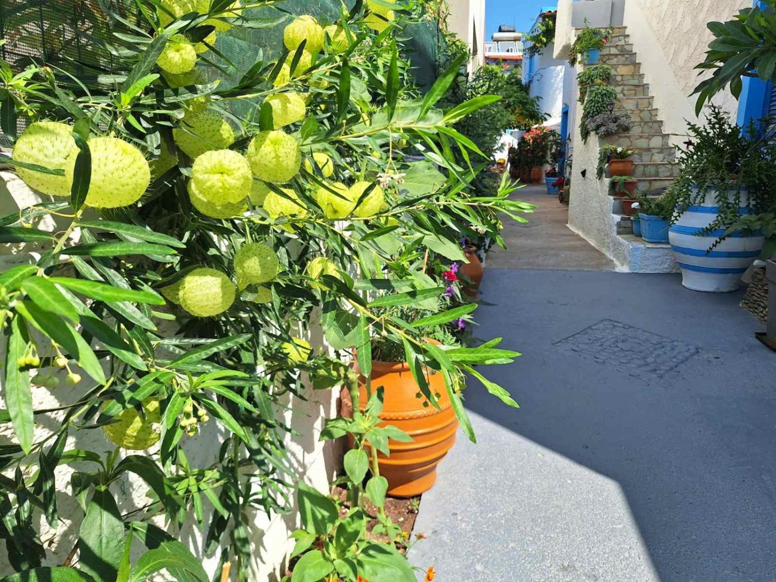 Βig Βlue Apartments Makrýgialos 外观 照片