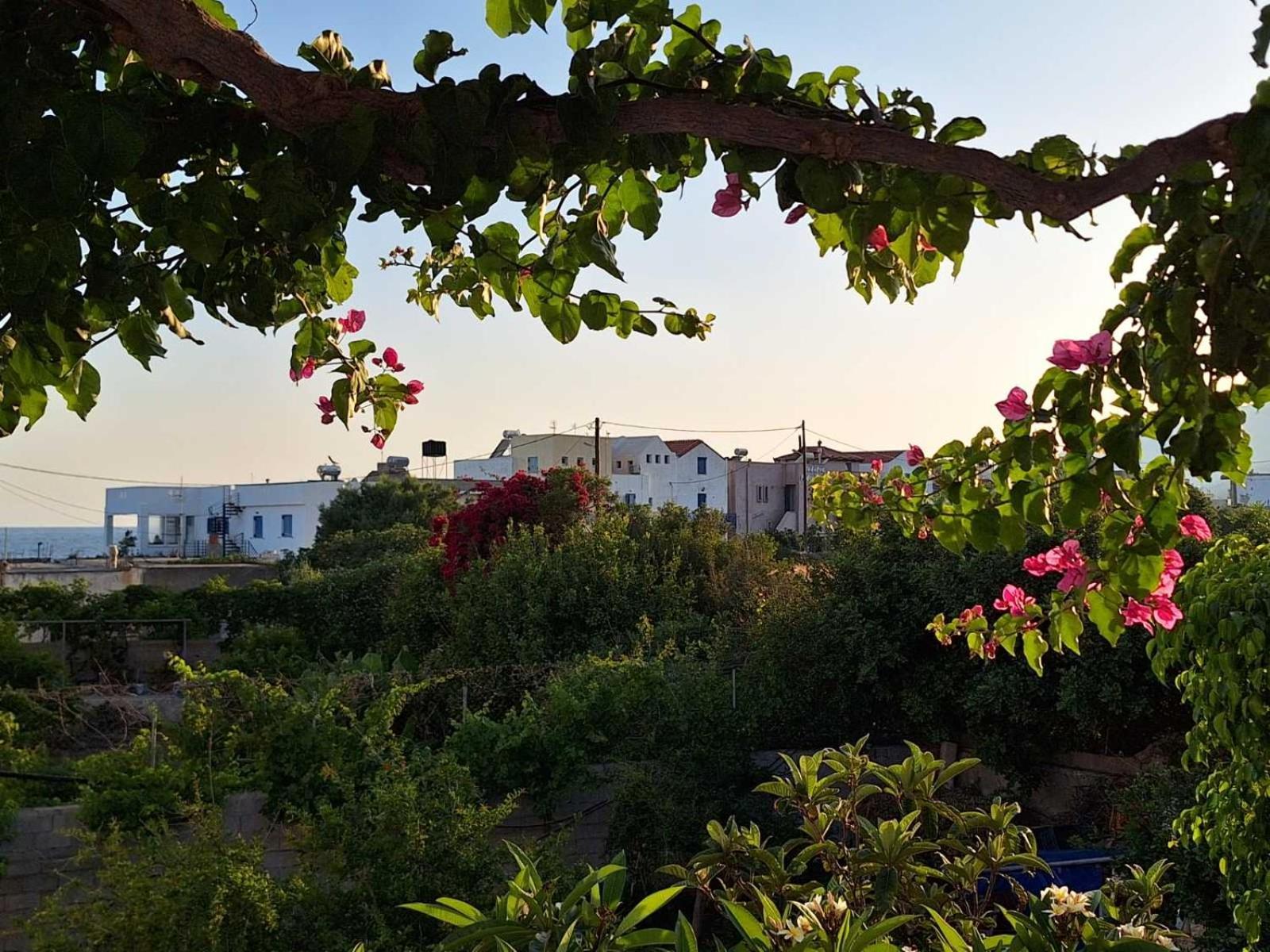 Βig Βlue Apartments Makrýgialos 外观 照片