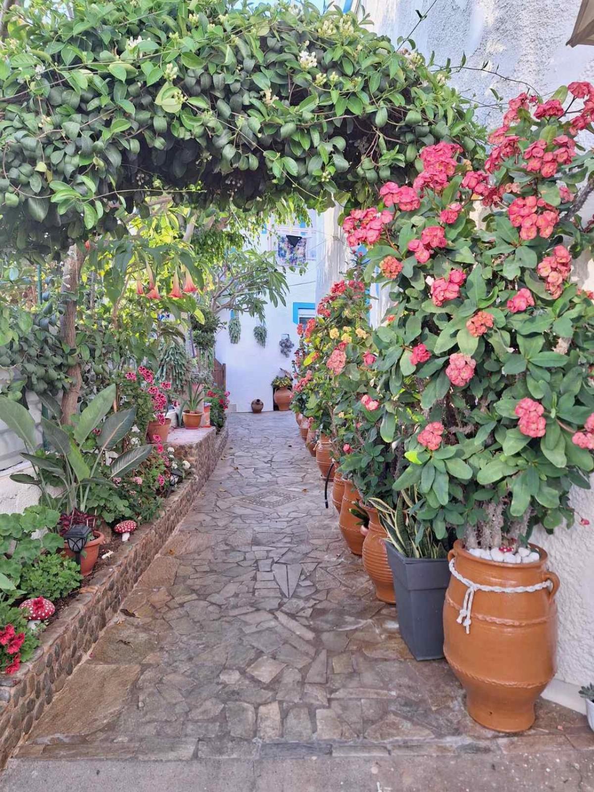 Βig Βlue Apartments Makrýgialos 外观 照片