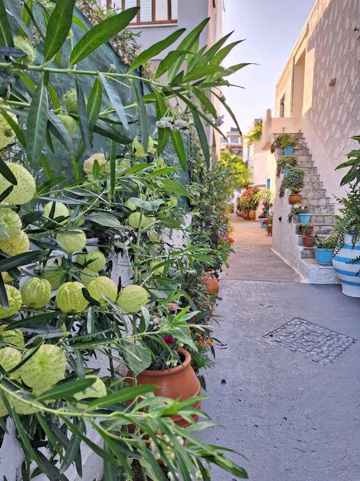 Βig Βlue Apartments Makrýgialos 外观 照片