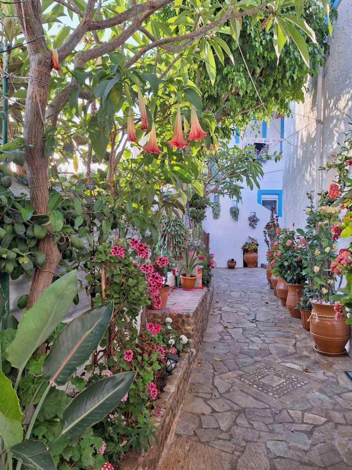 Βig Βlue Apartments Makrýgialos 外观 照片