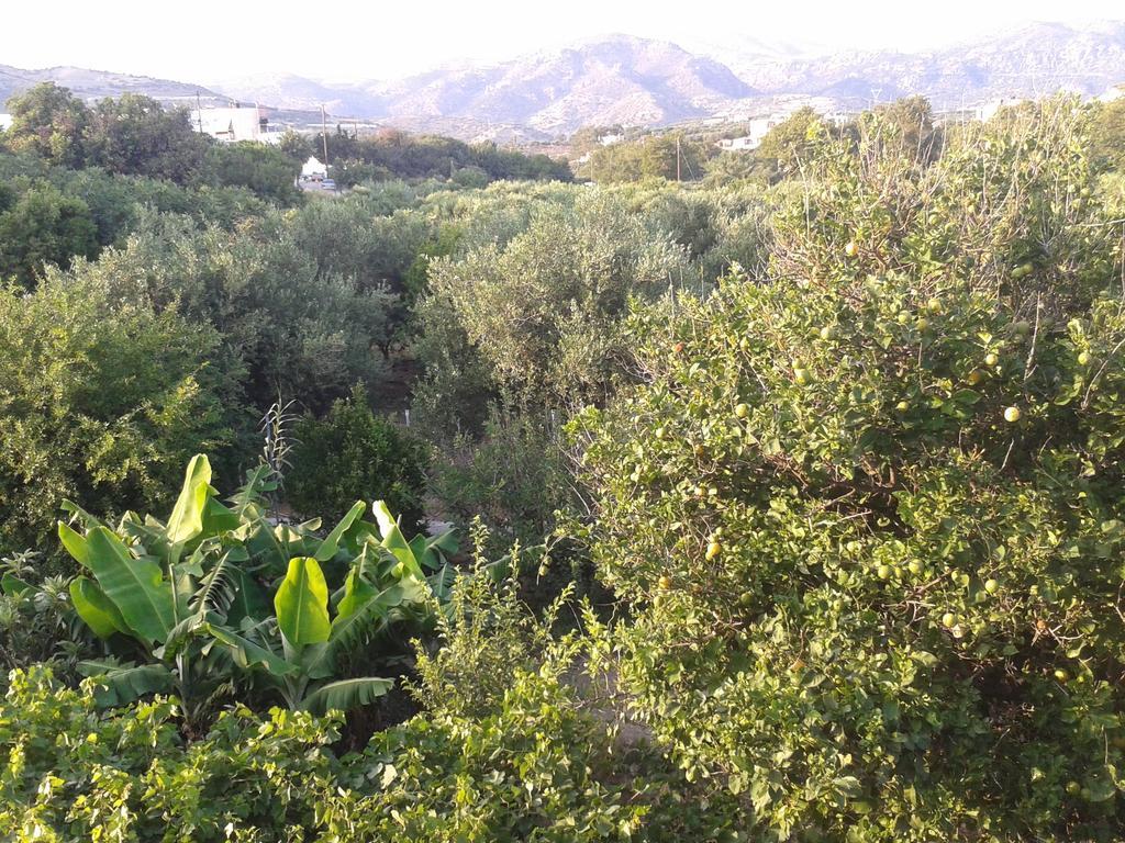 Βig Βlue Apartments Makrýgialos 客房 照片