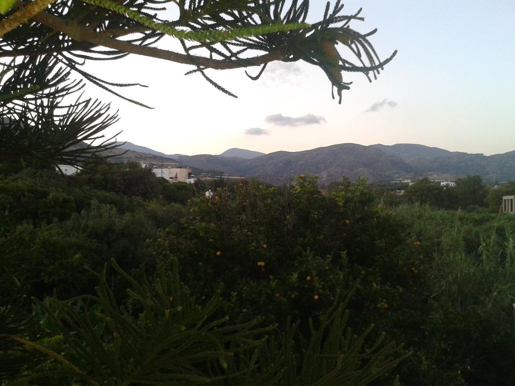 Βig Βlue Apartments Makrýgialos 客房 照片